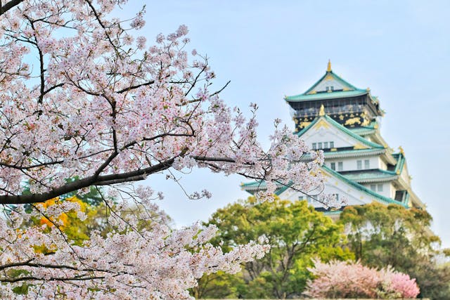 Read more about the article 日本出租女友是什麼？價格怎麼算？出租女友與出租男友的差別解析