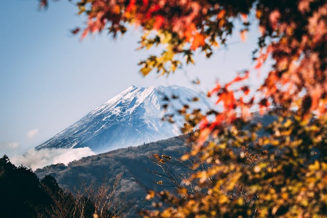 Read more about the article 2025日本楓葉預測一目了然｜全國紅葉最佳觀賞時間總整理