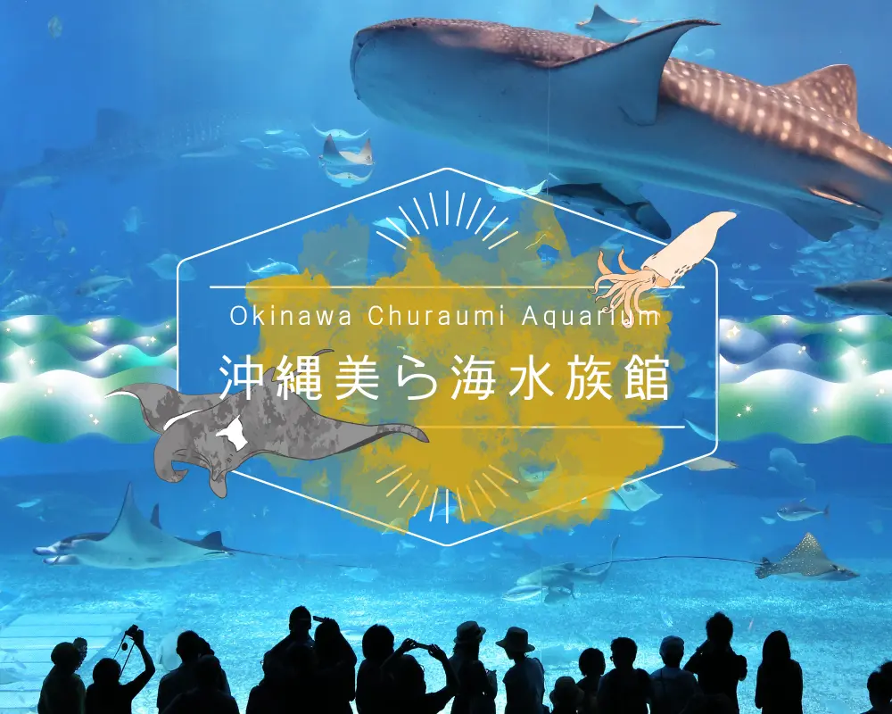 沖繩 Fun Pass|美麗海水族館+任選組合優惠套票|Okinawa FunPass:圖片 5