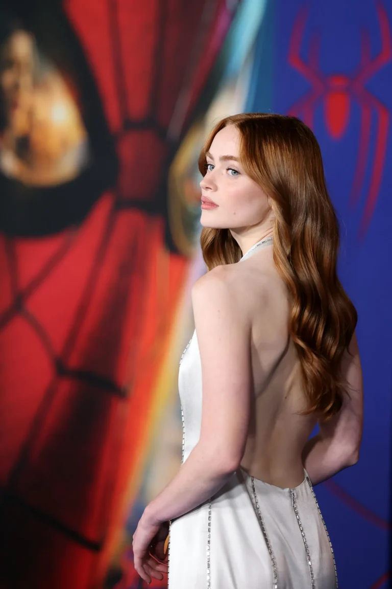 Read more about the article 莎蒂辛克（Sadie Sink）是誰？《怪奇物語》爆紅、加入漫威！魅力、代表作品、男友、爭議一次看